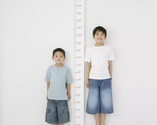 孩子|俩个同龄宝宝在一起玩，身高体重差距大引争议：小码遇到了加大码