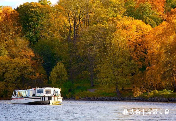 瑞典家庭的一日三餐,顿顿爱吃高热量食物,为何还很长寿!