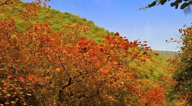 老年|山西被严重低估的山岳，被称太原“新地标”，40尊石雕堪比大同！