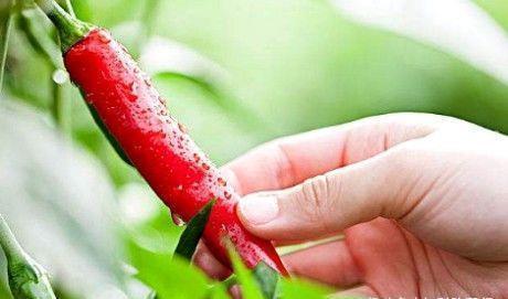 延缓衰老|不想老太快，多吃三种食物，延缓衰老，安神助眠，提高免疫力