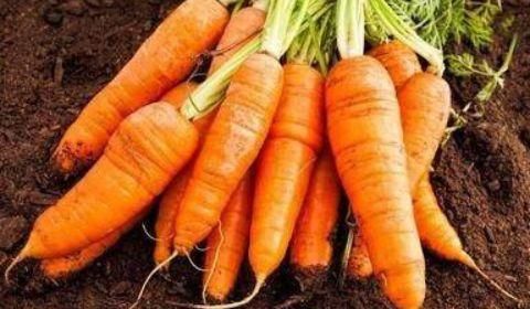 食物|对身体很好的3种食物，平时经常吃，补血养气，延缓衰老