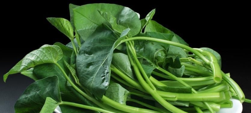 粗纤维|久坐族缺乏锻炼,身材走样,抵抗力下降,常吃六种蔬菜还你健康!