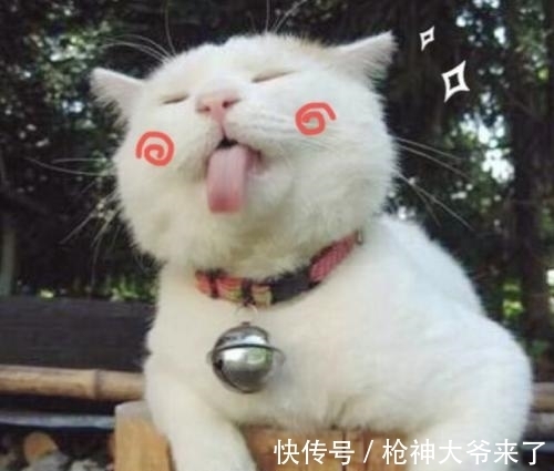 |幽默笑话:大妈举起手里的勺子说:你再不走老娘一勺子挖死你。