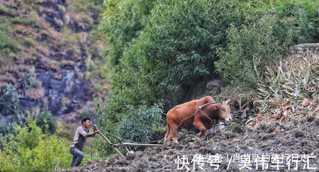 俄亚大村|四川建在悬崖巨石上的村庄，全村屋顶连一起，远看如蜂巢世界罕见