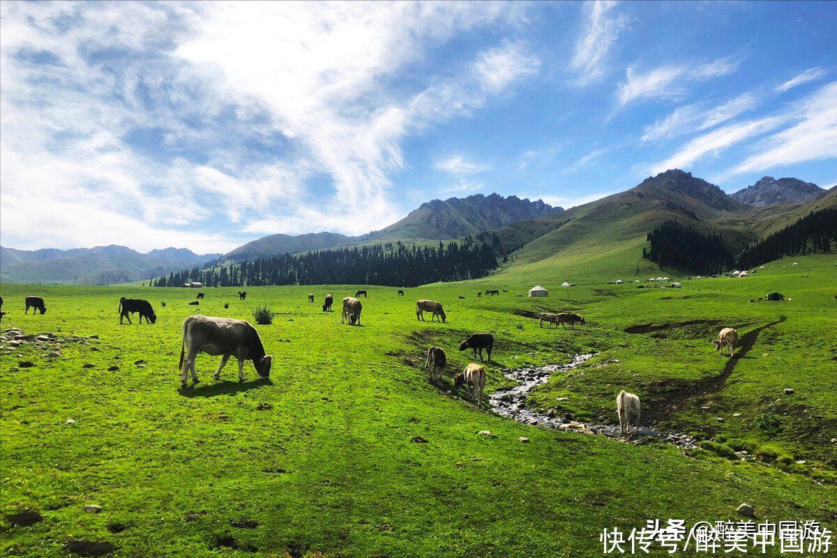 风光旖旎|每逢夏季，那拉提景区风光旖旎，峡谷幽深，绿草如茵，苍翠欲滴