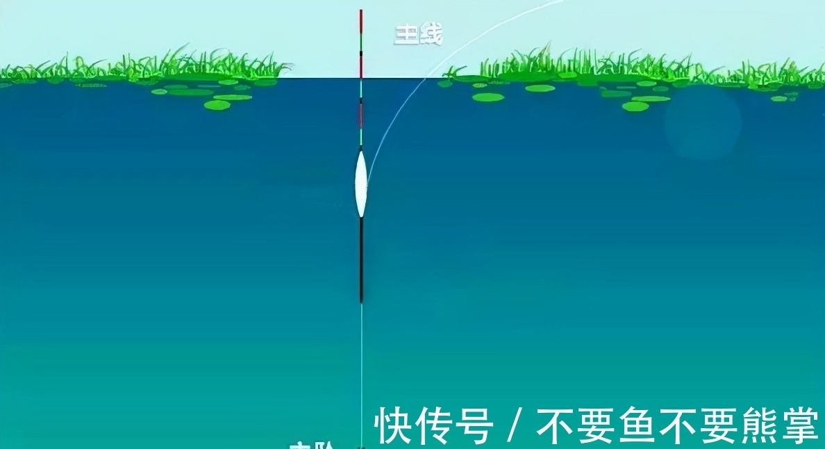 这种钓法比双铅钓法效果更好,适合冬季野钓,不用明显吃亏