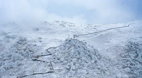 秦岭雪乡追星记：这才是冬天最美的夜空!