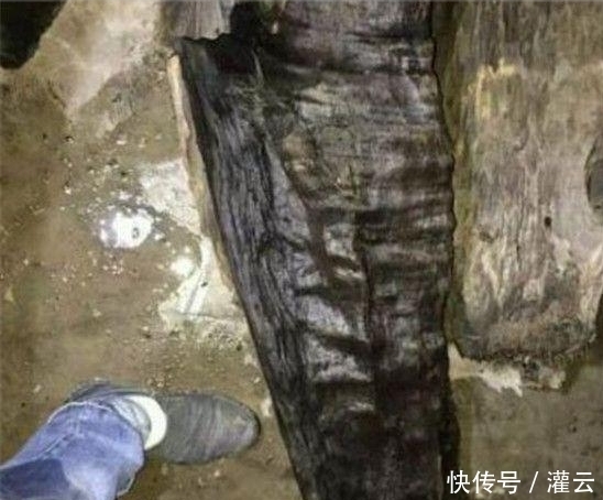  暴富|男子晚上闲聊无事，去河边钓鱼，竟然一夜暴富