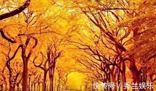 玉楼#断鸿渺渺空银海,疏雨潇潇满玉楼;八首七律诗,已是天凉好个秋