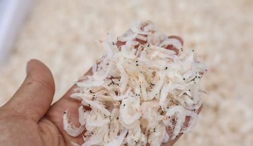 一样是虾皮,买黄的还是买白的,品质相差大,以后不要乱买了