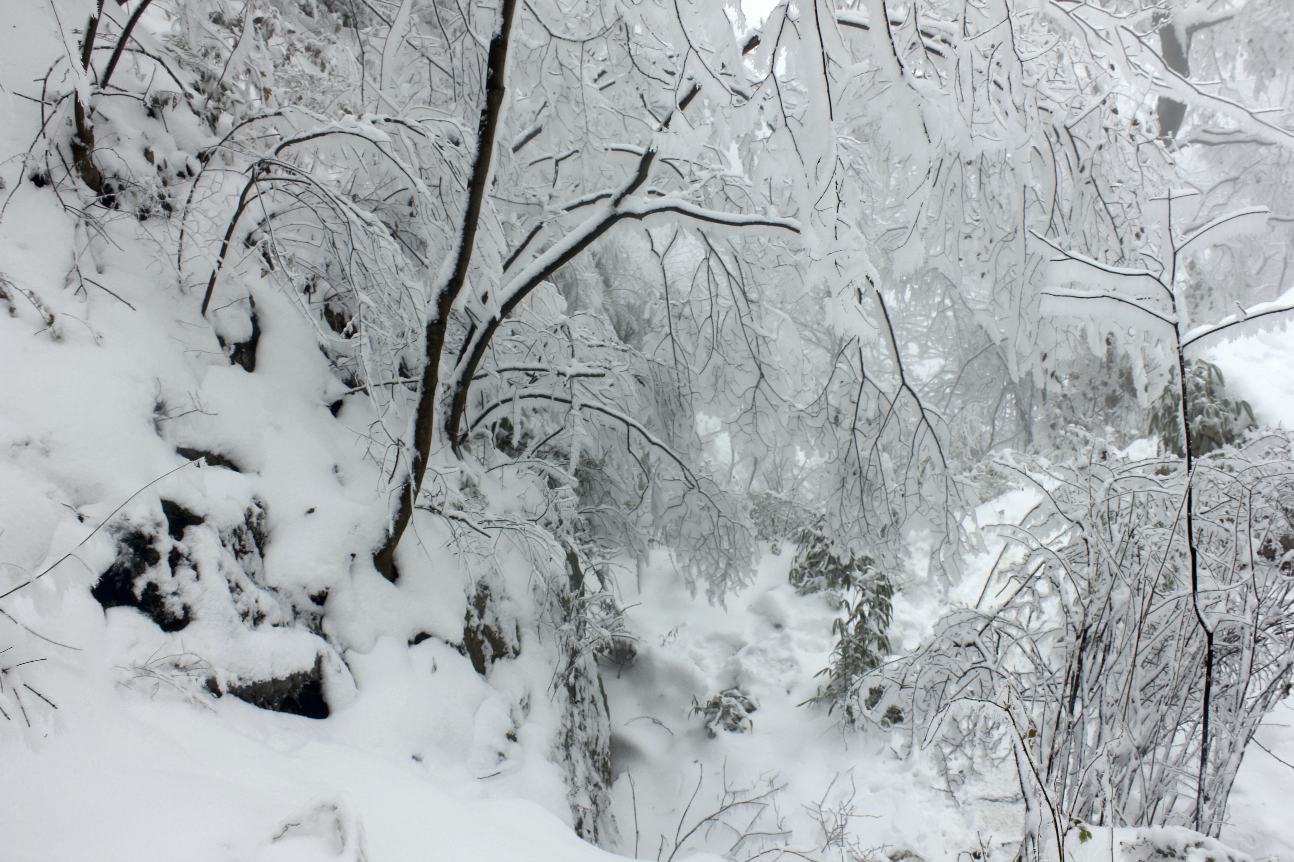 征集|【年末福利征集】雪后南五台幸遇云海