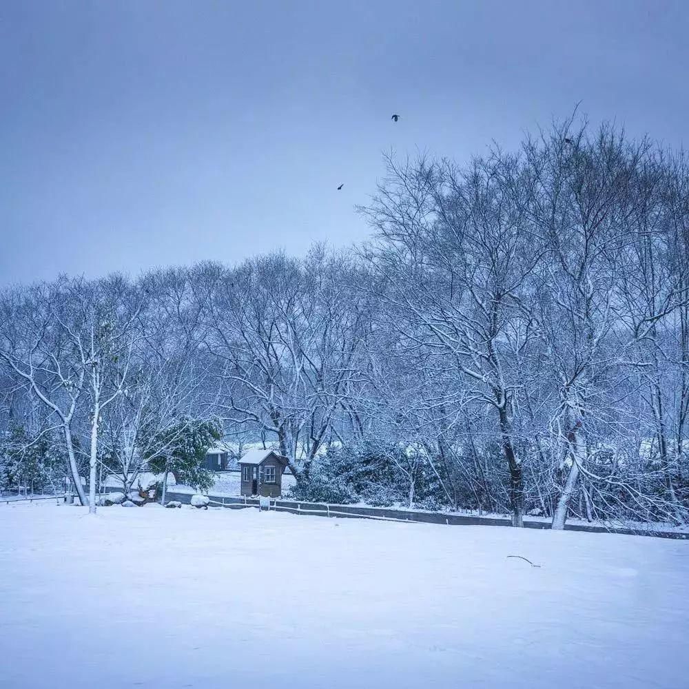 一场薄雪，勾勒出古风古韵大美中国