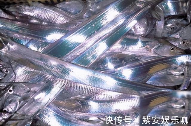 油炸|炸带鱼,直接用油炸就错了!多做1步,外酥里嫩,放凉不软,真香