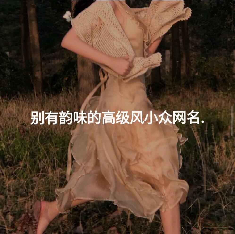 让心动超标的小众网名