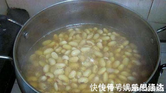 大神|大神养金枝玉叶,每月喂上“1碗汤”,枝粗叶绿,2年成高价老桩