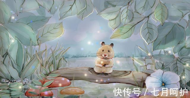 星座|未来一周，信守诺言，解压放松，全心全意，无私奉献的3大星座