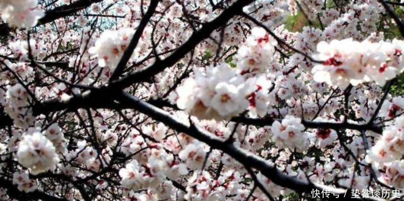 文人|刘禹锡被贬外遭到排挤,还搬了好几次家,于是写下一篇很狂的文章