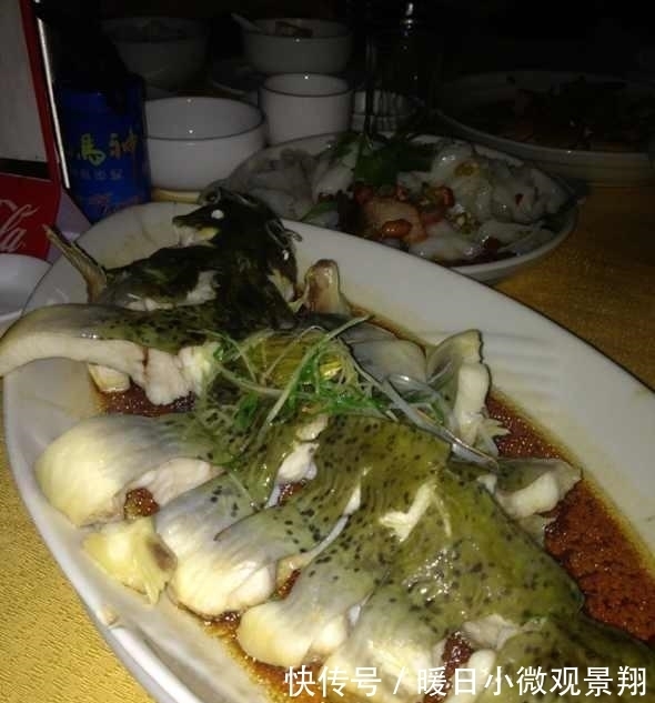 比甲鱼营养,一斤卖到300元,被誉为“淡水鱼之王”,却常被嫌弃