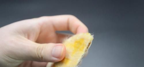 盆栽|芒果核扔掉可惜了,这个用途懂的人还不多,早点知道就好了