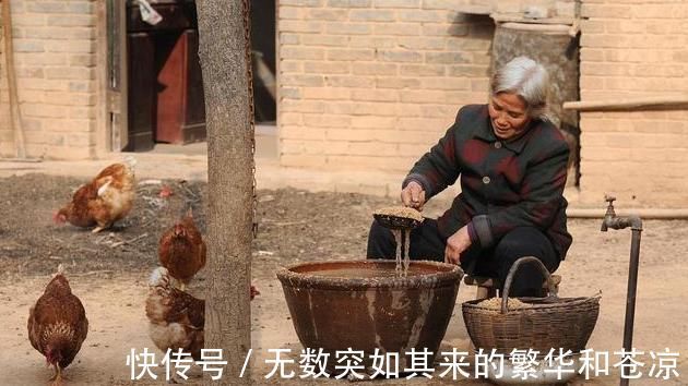 补气除热|一味不被人熟知的良药,李时珍却说它善于“补气除热、敛汗止汗”