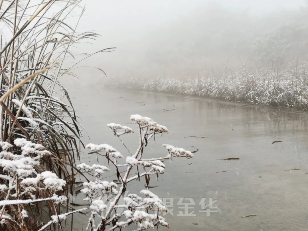 新闻记者|浙江多地下雪！一地积雪厚度达3公分……