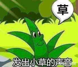 绿茶餐厅吃了可以变绿茶吗……