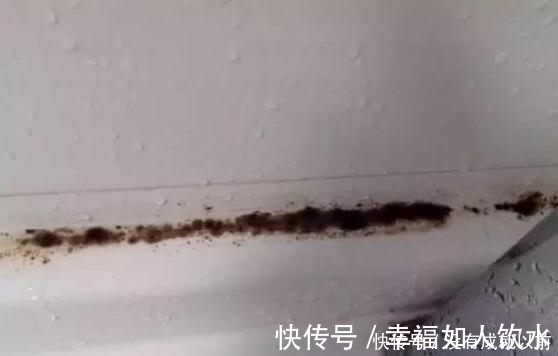 卫生间里这东西,家家户户都有,但它会产生黄曲霉,以后别用了