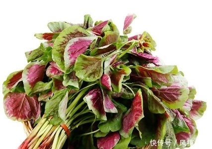 聪明人|聪明人最爱吃这种野菜,可以有补充维生素的作用,好吃还不贵