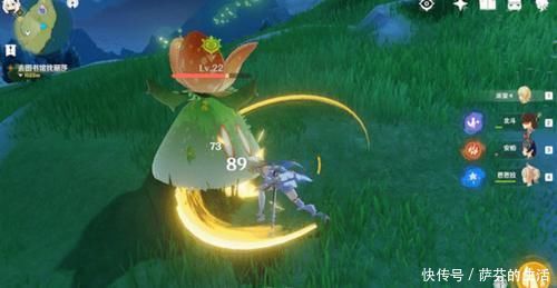 鸽子|原神：游戏中的迷惑行为，收提米的鸽子成角色强度硬性指标！