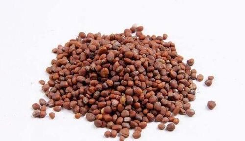 排便|便秘很难受?医生:2样东西混着喝,有效改善便秘,排便一顺到底