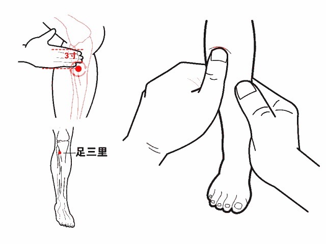 四事|春节养胃，饮一水，食二物，揉三处，做好四事，胃好少遭罪