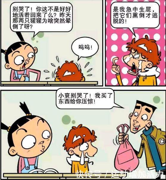 吹乱|阿衰漫画小衰的发型老被吹乱，用了强力发胶结果头发都没了