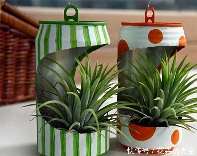 自制|在家用这4种东西自制花盆,简单方便还好看!透气性高养花好