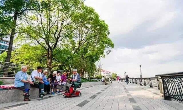 珍贵视频流出：这样的老闵行，你肯定没见过！