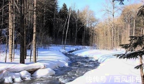 龚自珍|清代诗僧的一首五律,“春潭浴乱星”,充满想象,又相映成趣