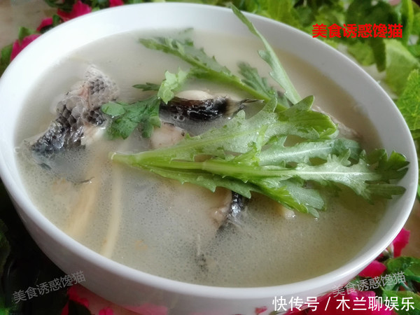 不管炖什么鱼汤,最忌讳加“它”!许多人做错,难怪鱼汤不白还腥