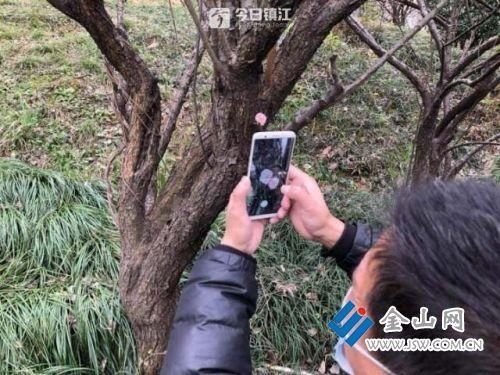 踏青赏花，赴一场春天的约会