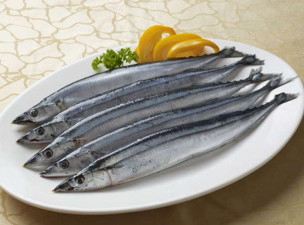 渔获|从3块一斤变成8000块一斤，长江刀鱼，让你吃不起的美味正在消失