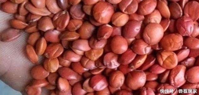 肝腹水|有肝病,睡觉时有3个情况,肝炎可能要加重,常喝2水助眠养肝