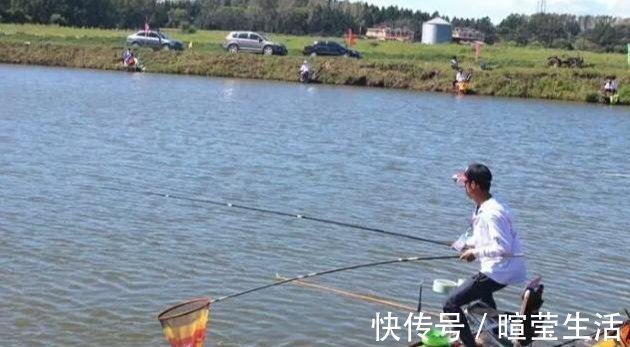 总结|调平水钓两目,和调四钓二个人经验总结,值得收藏!