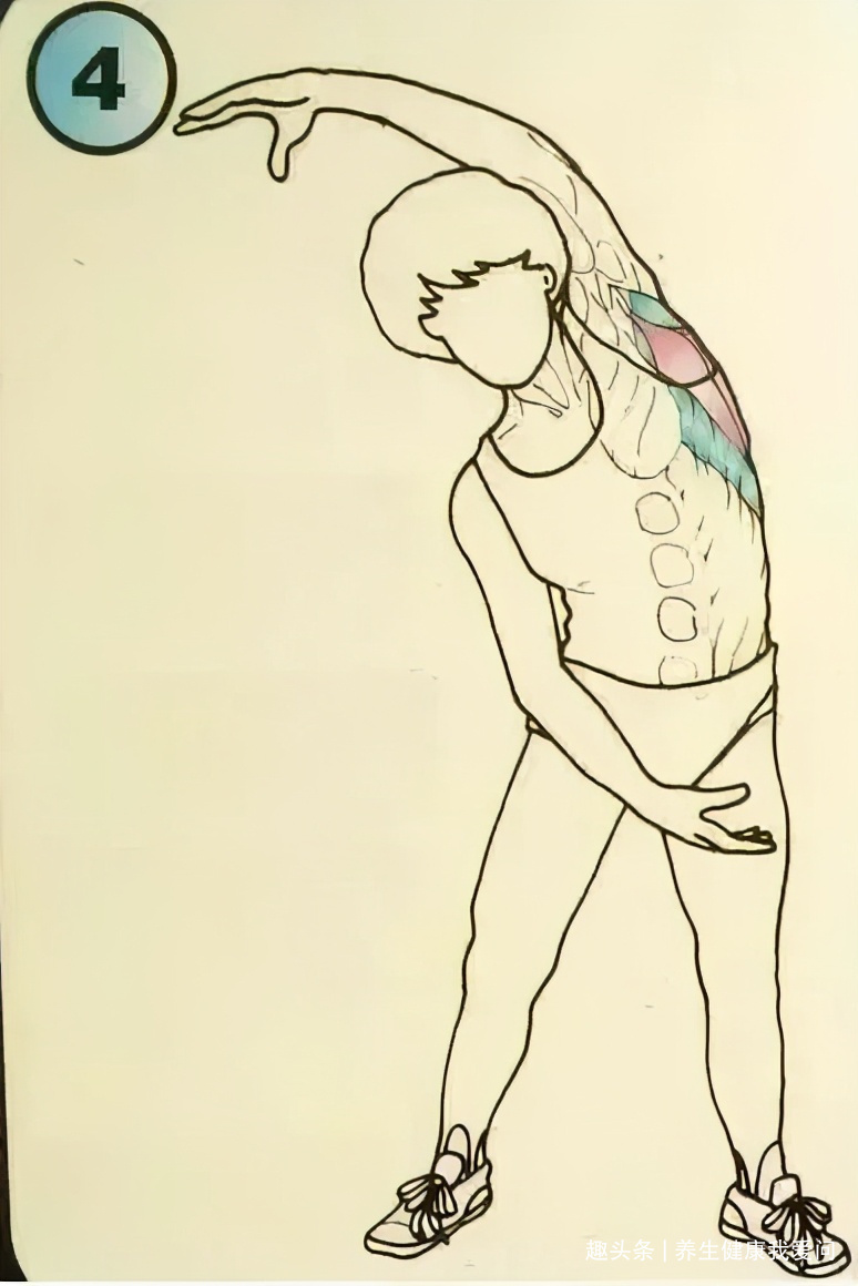 紧绷|一个最全养生拉筋动作,每天只需十分钟,筋长一寸寿延十年!