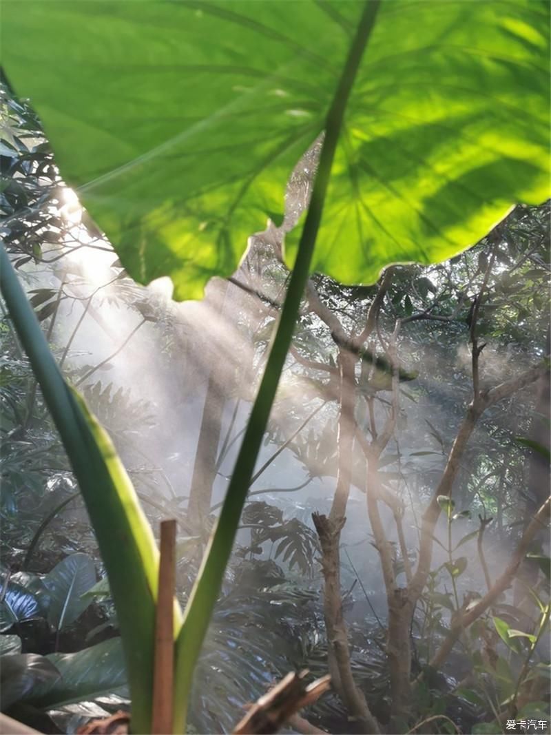 花海|厦门自由行