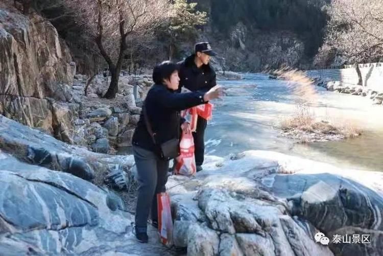 野生|人工投食万斤“冬粮”助泰山鸟儿越冬