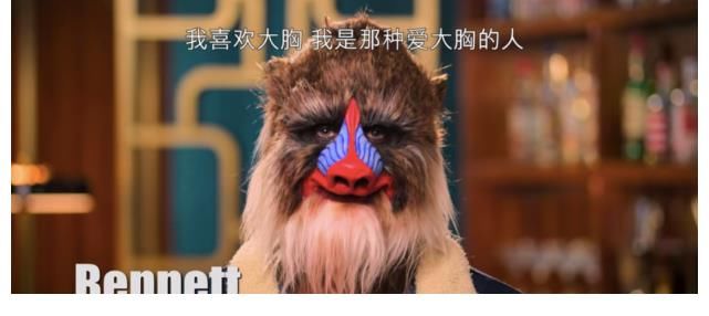 性感野兽|近年来最肤浅、最不知所云的相亲节目,非《性感野兽》莫属