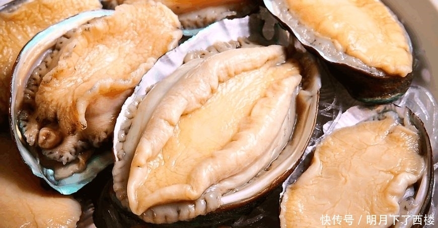 随便|第一次吃鲍鱼,不知道“几头”鲍鱼是什么意思,就不要随便说一头