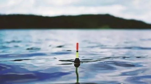 蚯蚓钓鱼不能乱用,教你正确的方法,让你轻松获鱼,实用