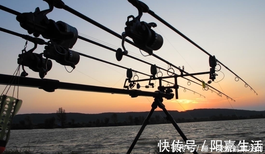 轻巧|冬钓板鲫,手竿不太好用?不妨换上海竿串钩试试,用了一次就过瘾