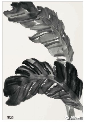 教程@图文教程——芭蕉画法