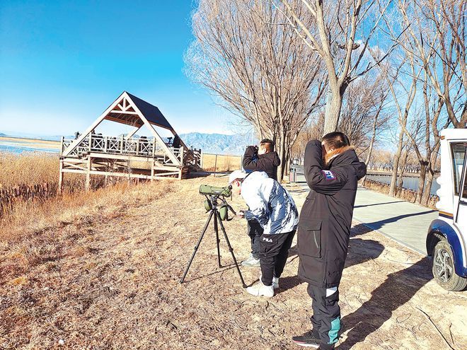 海陀山|冬奥盛会开幕在即 海陀山下呈现万物共生生态美境