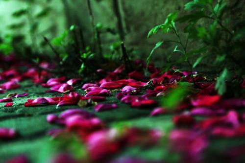 风流#莲经难渡风流客,红尘留下几多情?北宋善写艳词的多情僧—仲殊